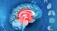 image of brain